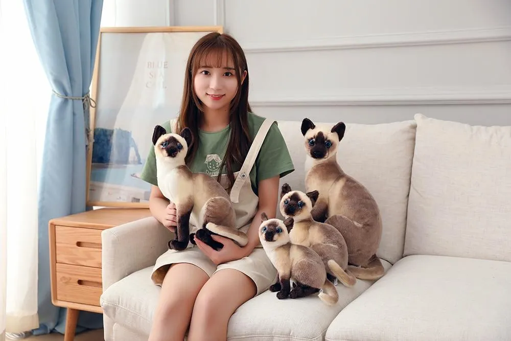 45 CM Lifelike American Shorthai Kitty Siamese Cat Plush Toys Cute Stuffed Simulation Animal Doll Children Home Decor Baby Gift