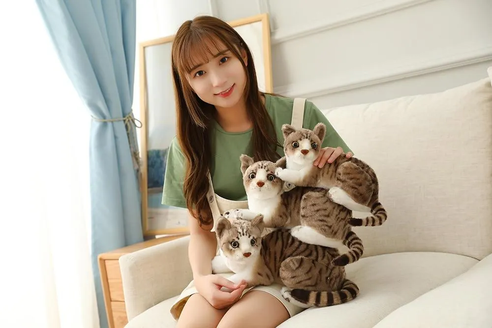 45 CM Lifelike American Shorthai Kitty Siamese Cat Plush Toys Cute Stuffed Simulation Animal Doll Children Home Decor Baby Gift