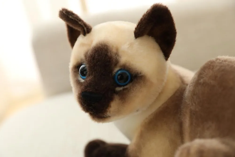 45 CM Lifelike American Shorthai Kitty Siamese Cat Plush Toys Cute Stuffed Simulation Animal Doll Children Home Decor Baby Gift