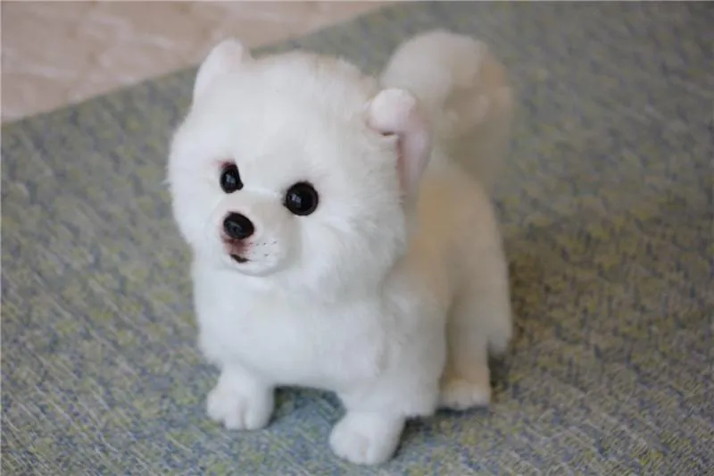 9 Kinds Dog Simulation Bichon Frise Plush Dog Toy Super Cute Likelife Corgi Dog Doll Stuffed Animal Maltese Dog Puppy Pets Toys