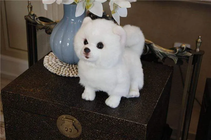 9 Kinds Dog Simulation Bichon Frise Plush Dog Toy Super Cute Likelife Corgi Dog Doll Stuffed Animal Maltese Dog Puppy Pets Toys