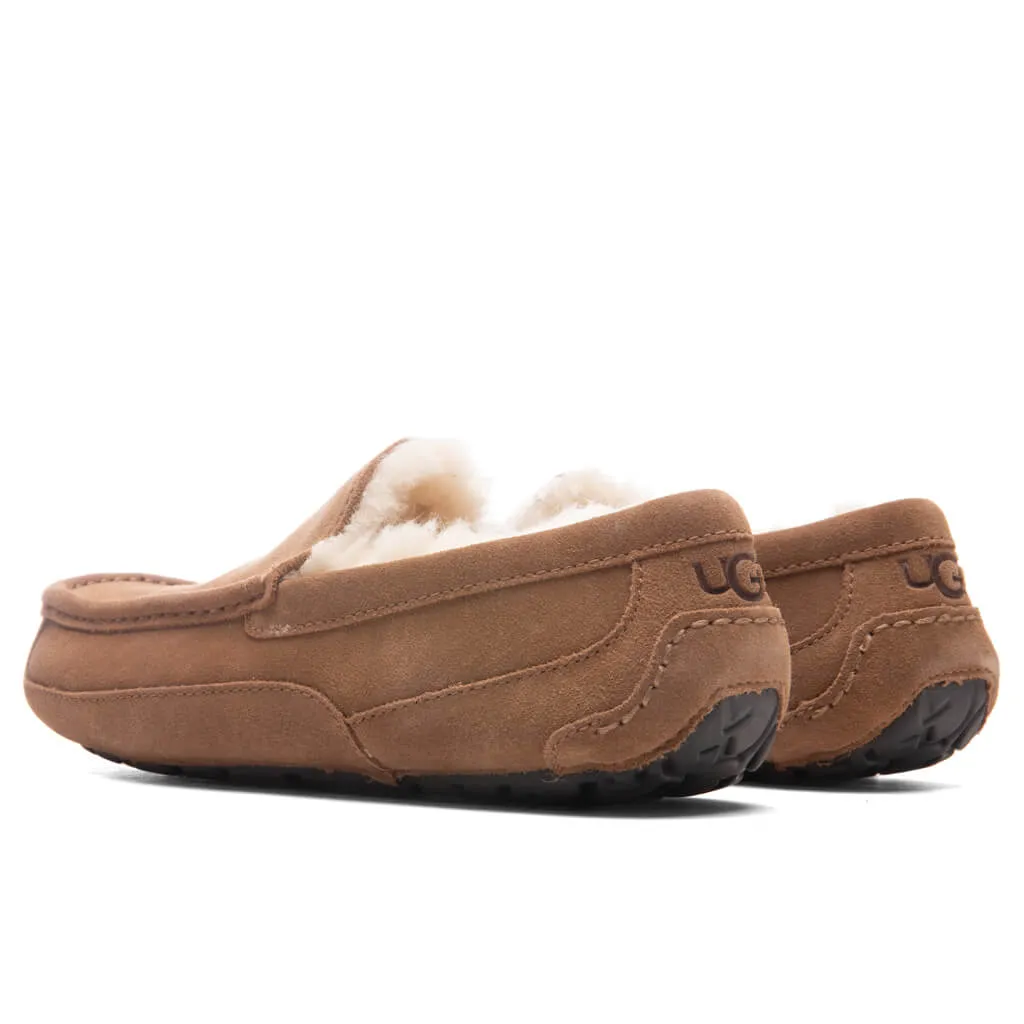 Ascot Slipper - Chestnut