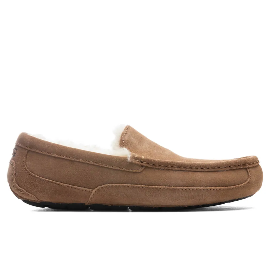 Ascot Slipper - Chestnut