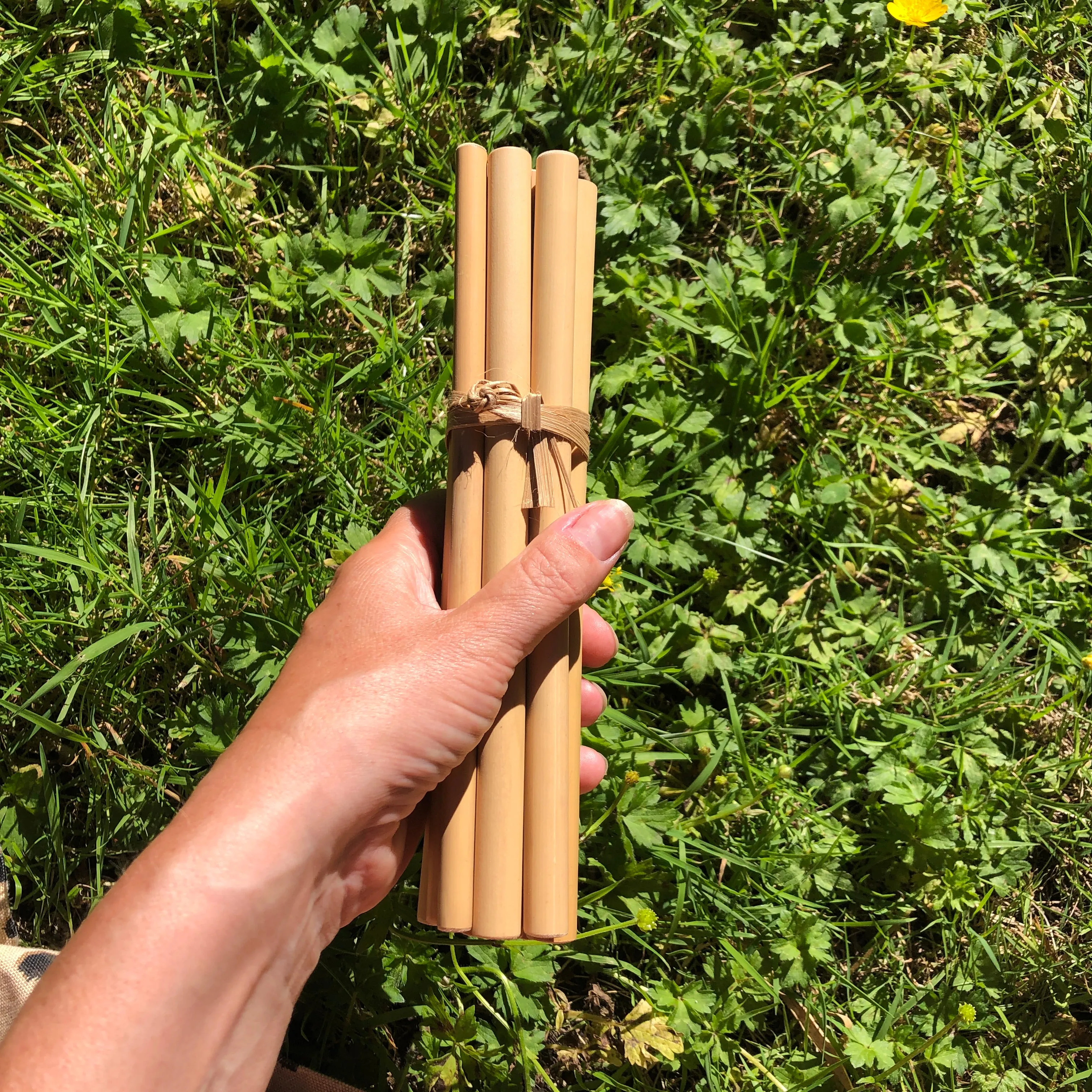 Bamboo Straws