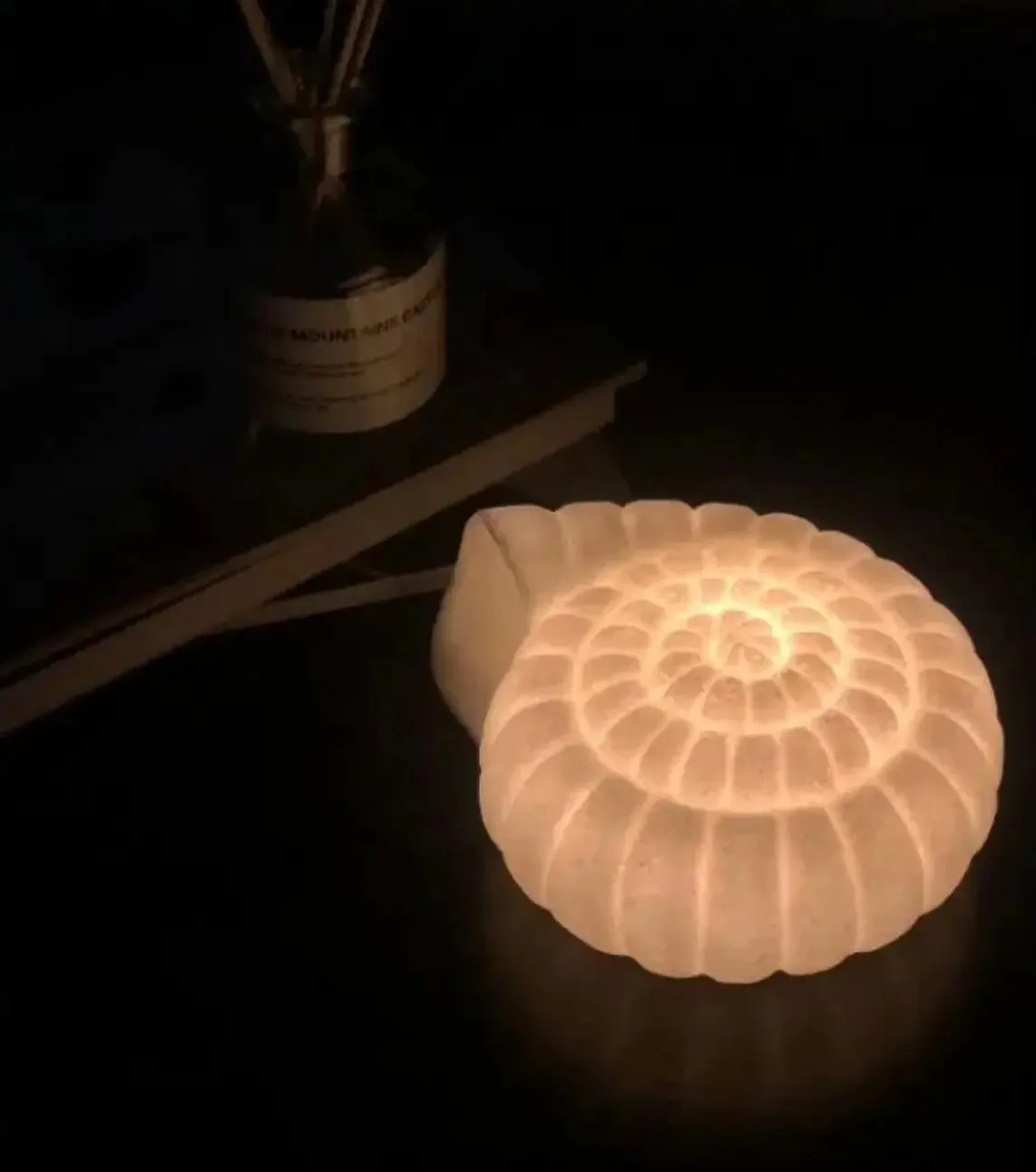 Conch and Shell Lamps MK19442