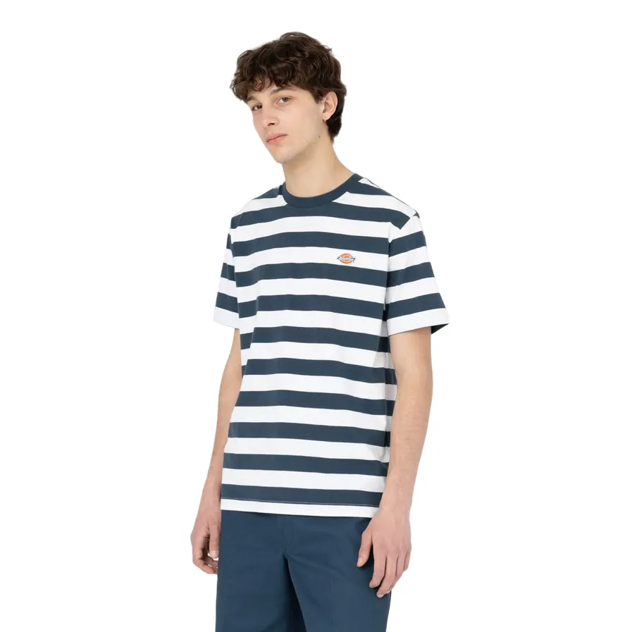 Dickies Rivergrove DK0A4Y8YAF01 blue striped men's short sleeve shirt