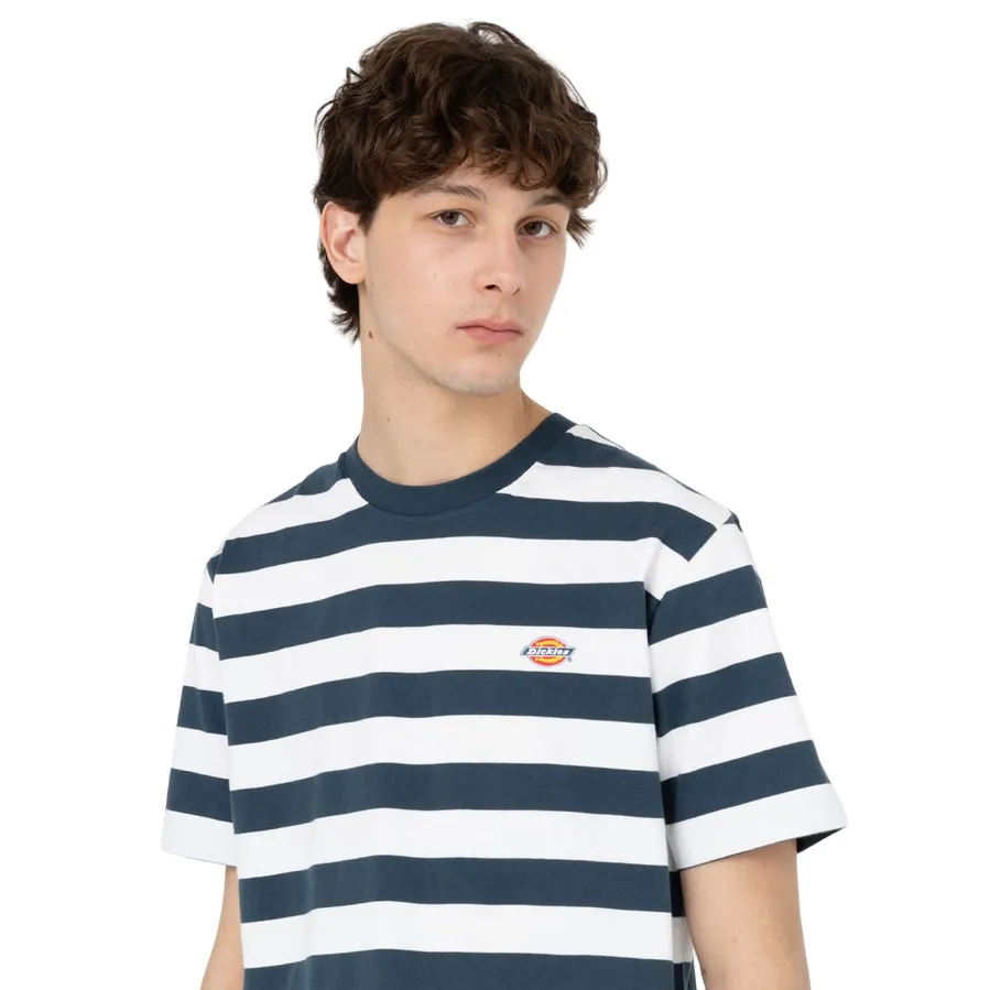 Dickies Rivergrove DK0A4Y8YAF01 blue striped men's short sleeve shirt