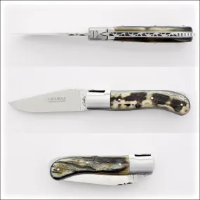 Laguiole Gentleman's Knife - Dark Ram Horn Tip