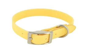 MuttNation Fueled by Miranda Lambert Waterproof Dog Collar Goldenrod 3/4 X 13-18