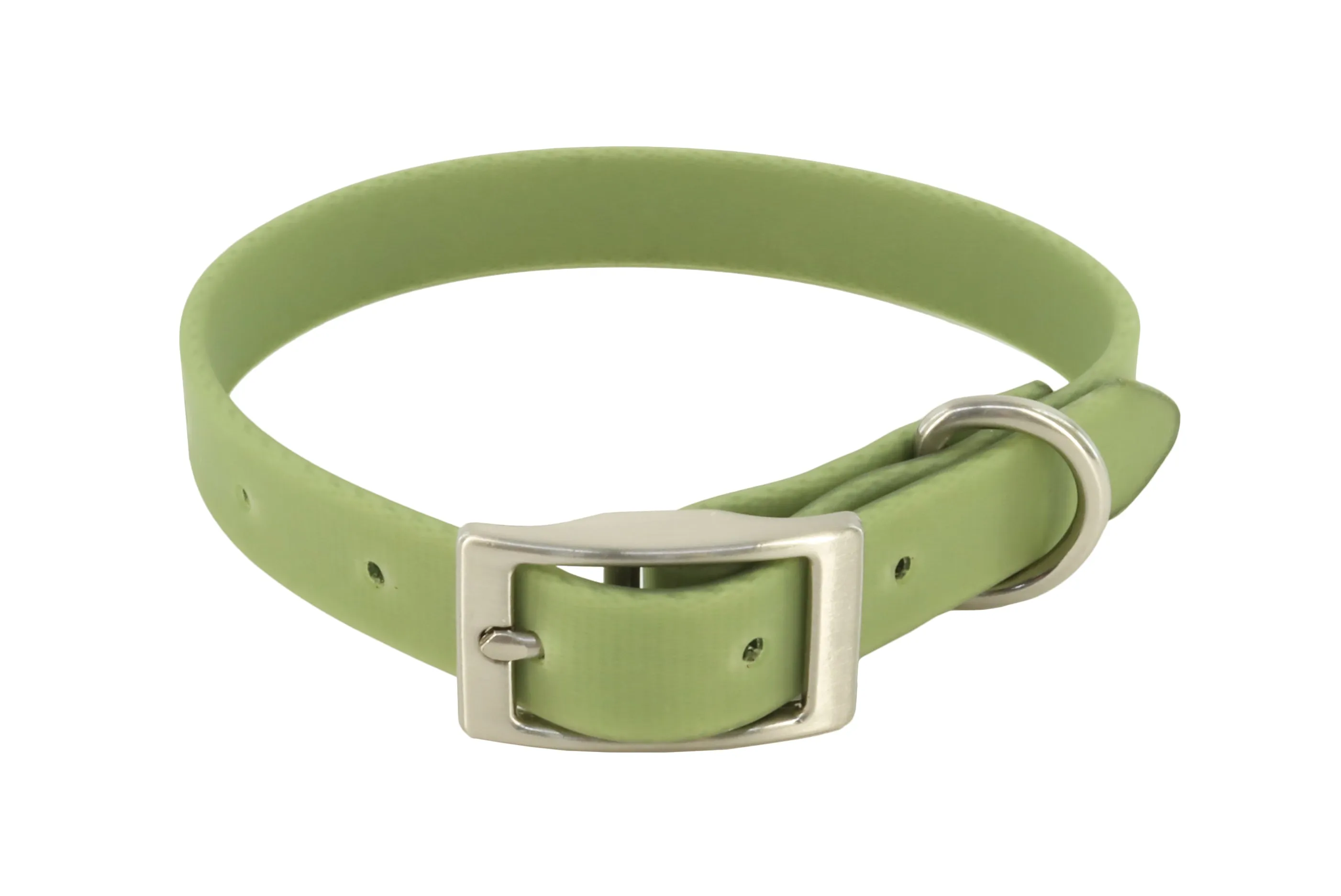 MuttNation Fueled by Miranda Lambert Waterproof Dog Collar Sage 1 X 19-24