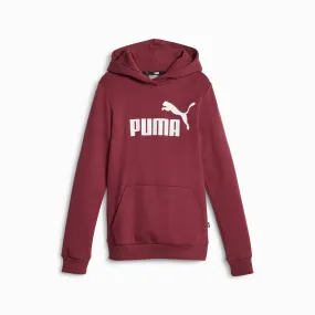 Puma boys' sweatshirt with hood and large logo print Ess 587031-22 dark jasper